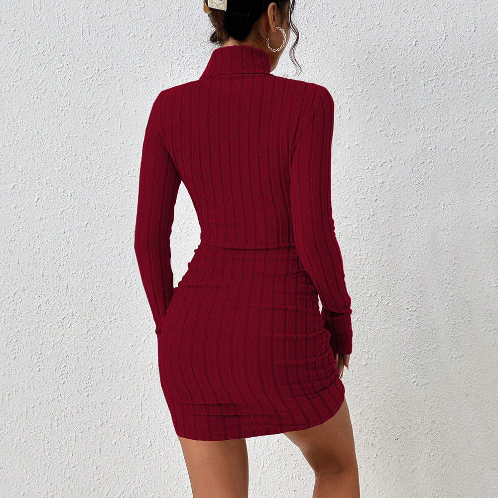Women’s Wine Red High Neck Short Dress Autumn Winter