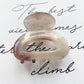 Mini Acetate Hair Clip Women Girls Chic Claw Barrettes